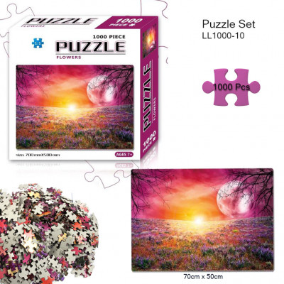 Puzzle Set : LL1000-10